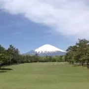 蓮の画像