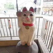 myhikari