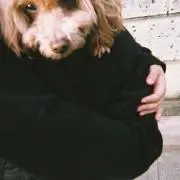 アンナ