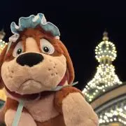 kokoの画像