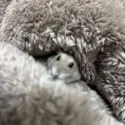 しょたろ。