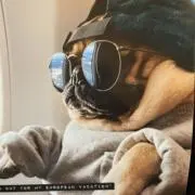 あんでみの画像