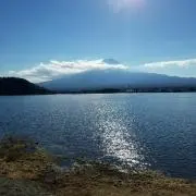 こずえ