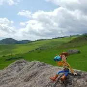 ゆうきの画像