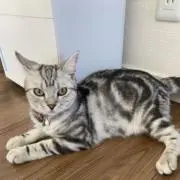 ※ドラミ⭐︎プロフ必読※の画像