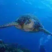 引っ越しのため断捨離中！！の画像