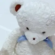 tommyの画像