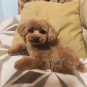 se-ka♡