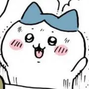 でんねんほっほっーい