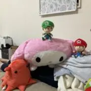 AKI1129の画像