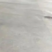 ponの画像