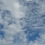 柚子うめの画像