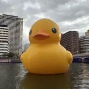 きよりん