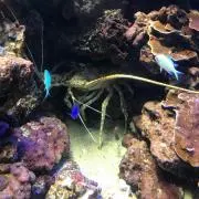 kumada777