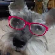 レイ～ナ