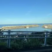 taroの画像