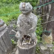 ゆの画像