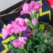 ゆた