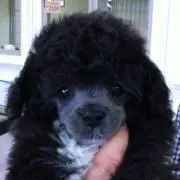 まっちゃんの画像