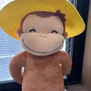 めんめの画像