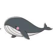 KUJIRAの画像