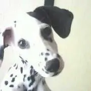 るる
