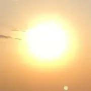 白いんげん