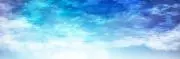 TMSの画像