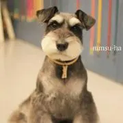 ゆっちん