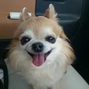 むさし