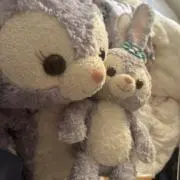 はるかの画像