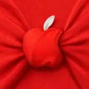 ピチューの画像