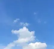 猫丸