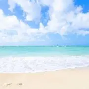 AS☆203の画像