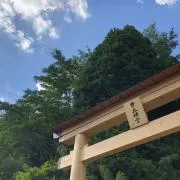セイの画像
