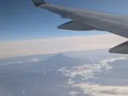 ぺー助の画像