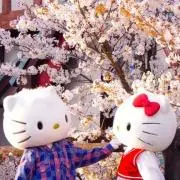 えぬの画像