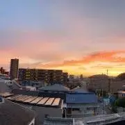 カイの画像