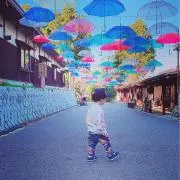 YNn...の画像