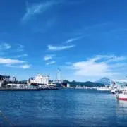ゆきひらの画像