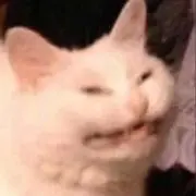 リン