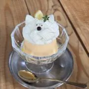 M☆即購入大歓迎の画像