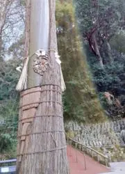 くろの画像