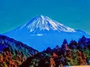 楽★安。プロフィールご確認ください。の画像