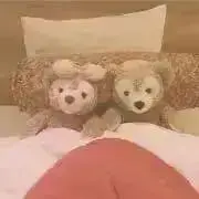 ゆちょの画像