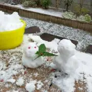 chibisuko