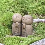 TASAの画像