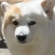 みの画像