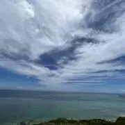 すいの画像