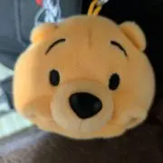 ぴろみの画像